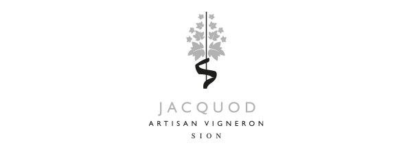 gustovinum-fete-du-gout-stands-gourmands-after-festif-musicale-restaurateur-sedunois-encaveurs-place-de-scex-tanneries-midi-sion-valais